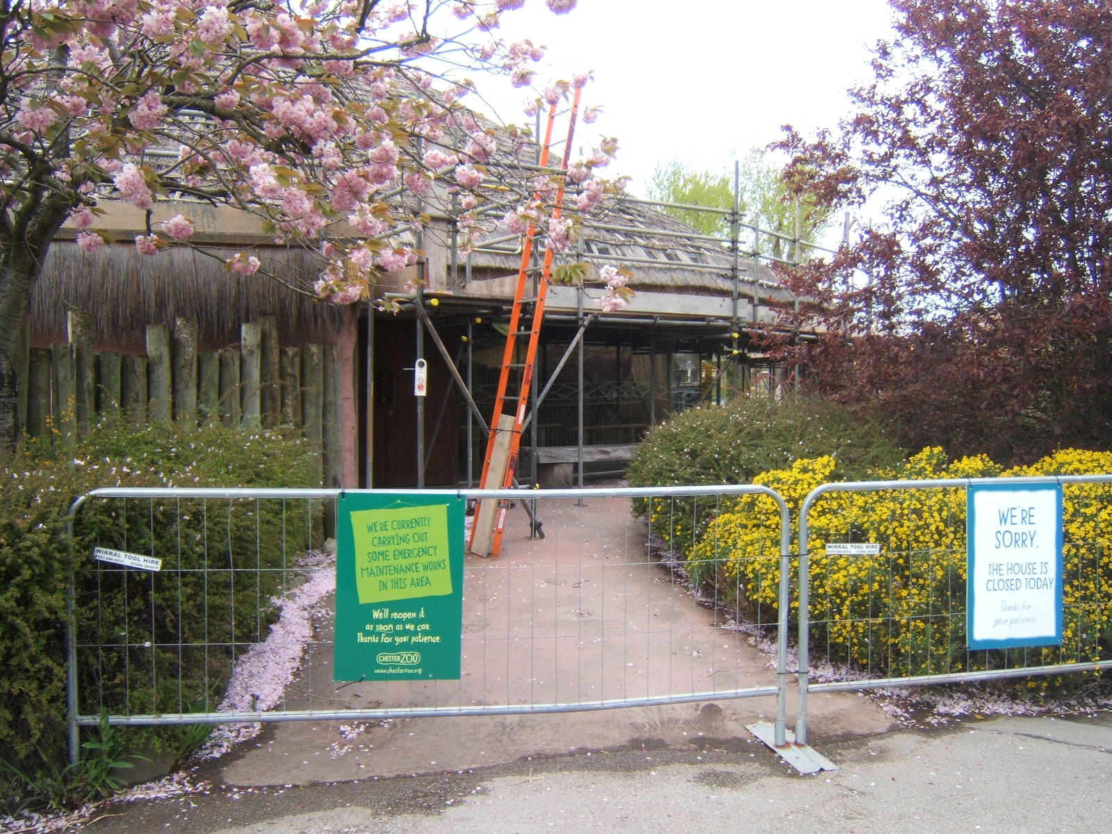 Tasavo Rhino House closed off while it is re-thatched