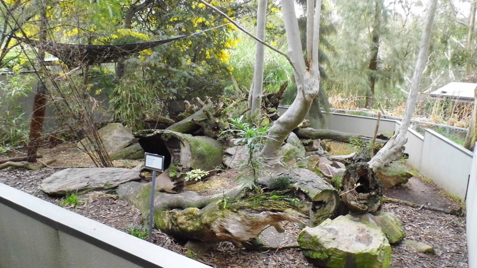 Tasmananian Devil Enclosure