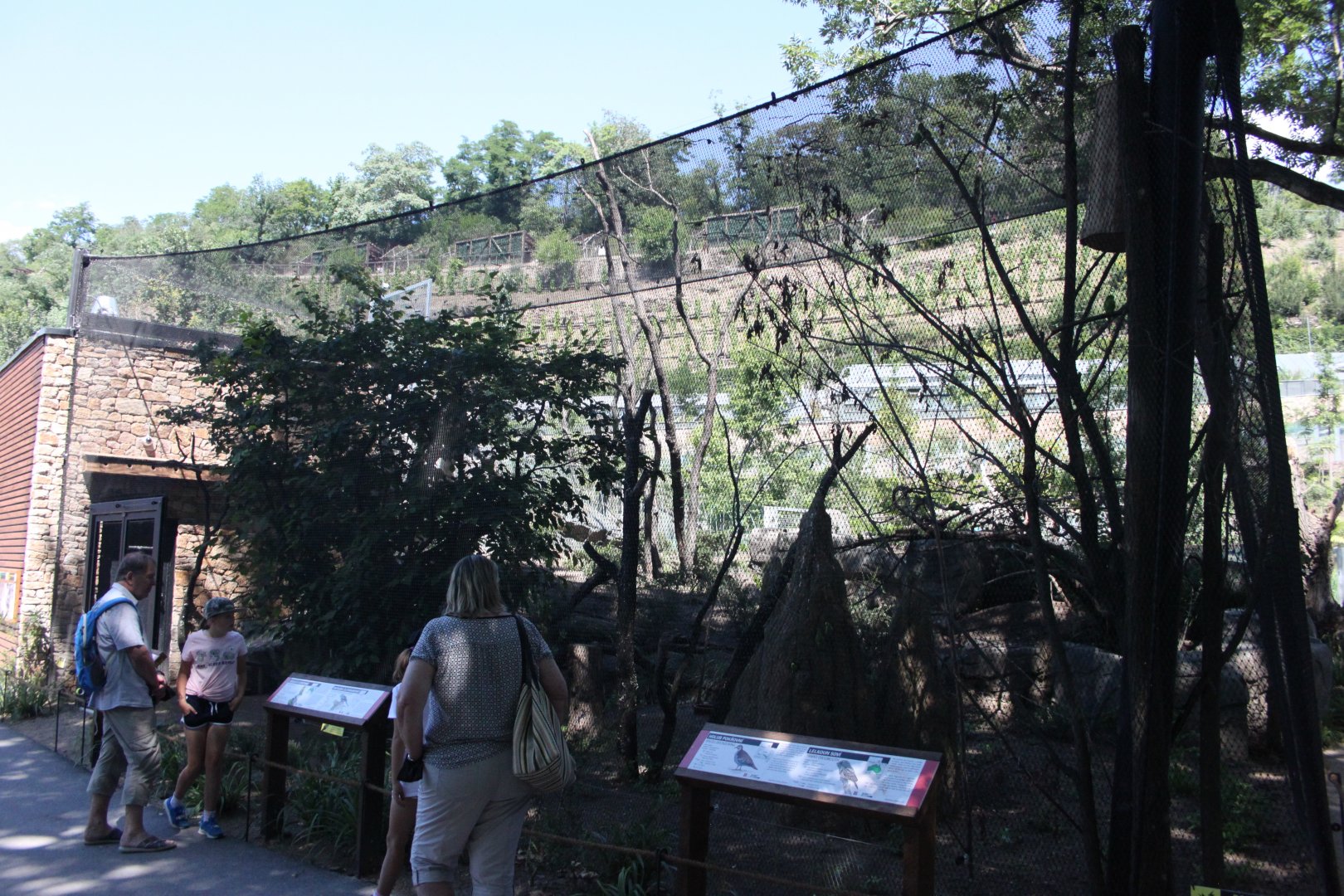 Tasmania exhibit - Aviary