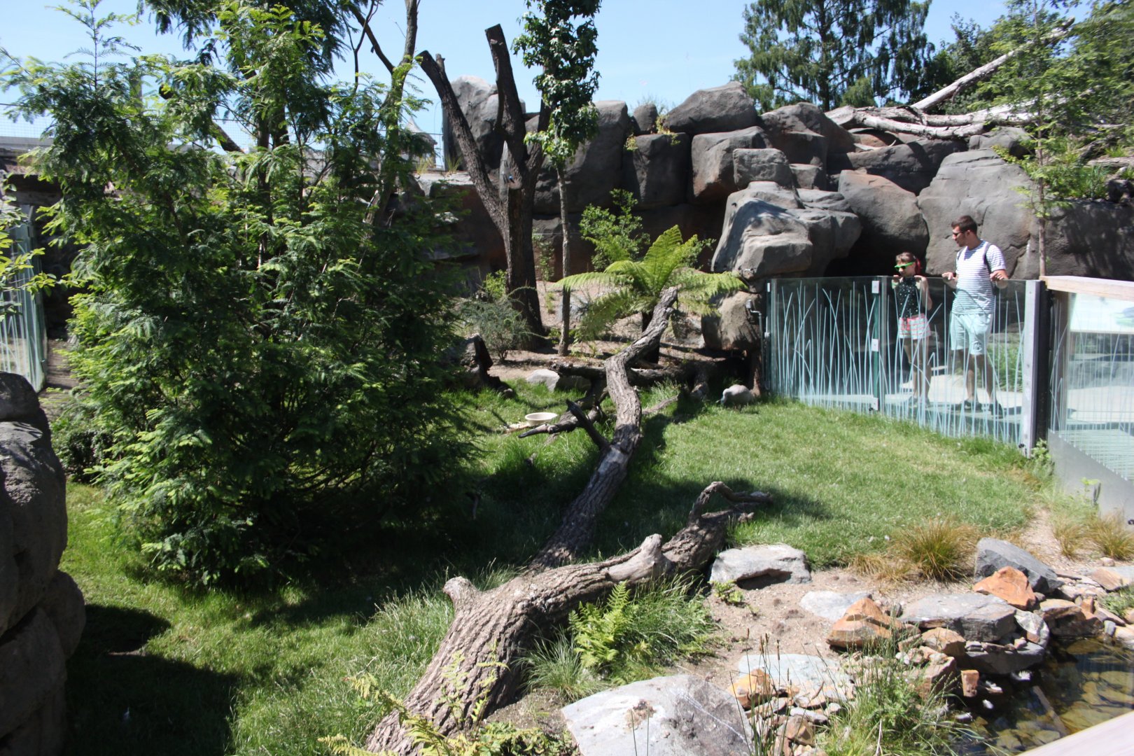 Tasmania exhibit - Cape barren goose exhibit