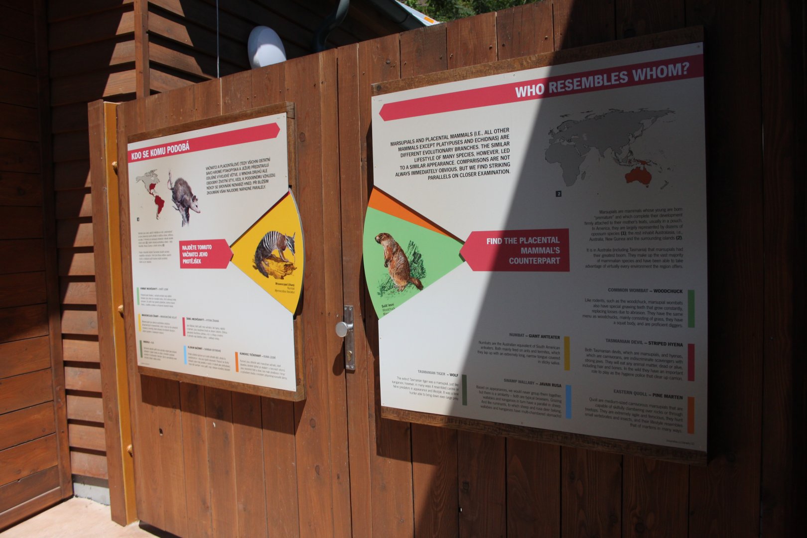 Tasmania exhibit - educational board