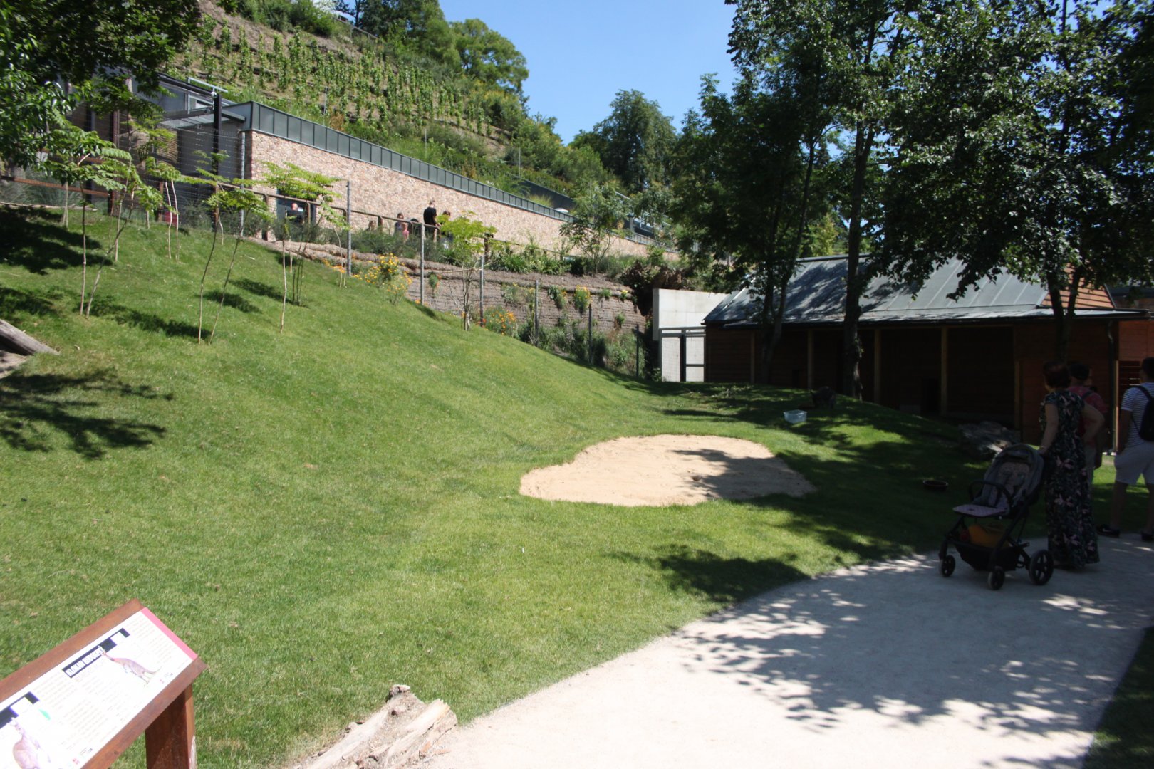 Tasmania exhibit - Kangaroo walkthrough exhibit