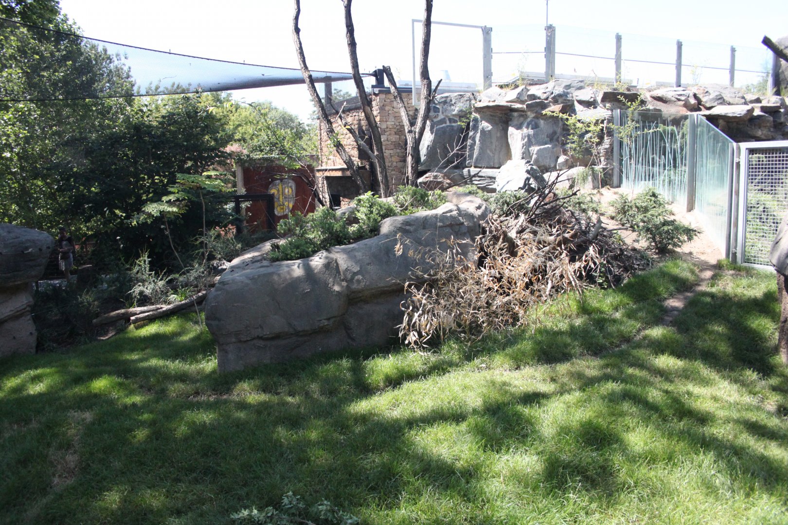 Tasmania exhibit - Parma wallaby exhibit