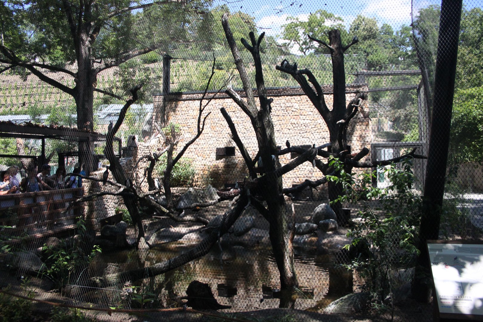 Tasmania exhibit - Waterfowl aviary