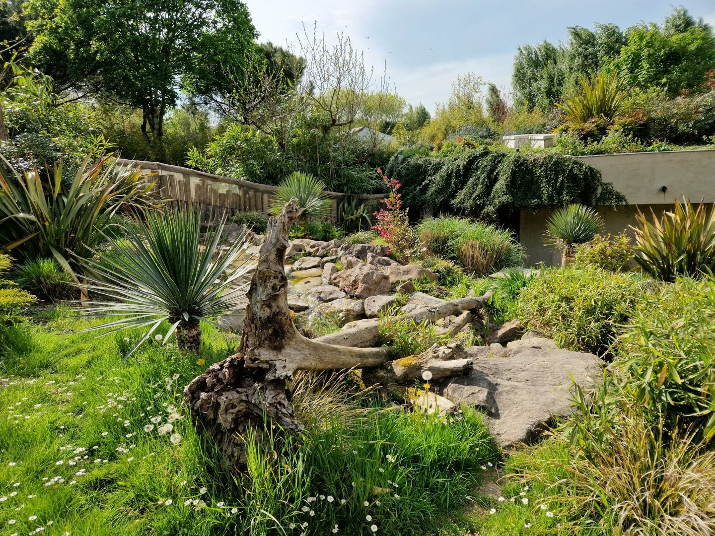 Tasmanian devil 2nd exhibit