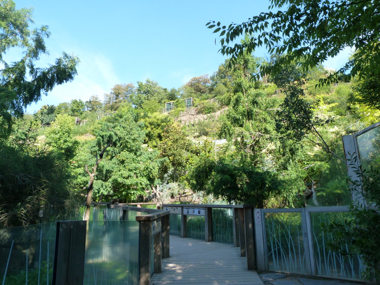 Tasmanian devil and wombat viewing broadwalk -Zoo Praha (2025)