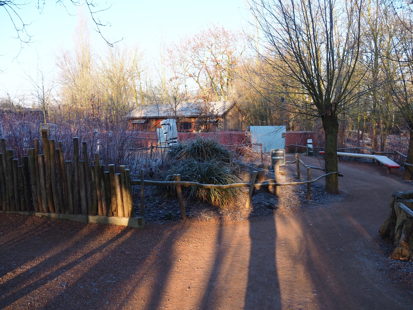 Tasmanian devil area (Jan 20th, 2019)