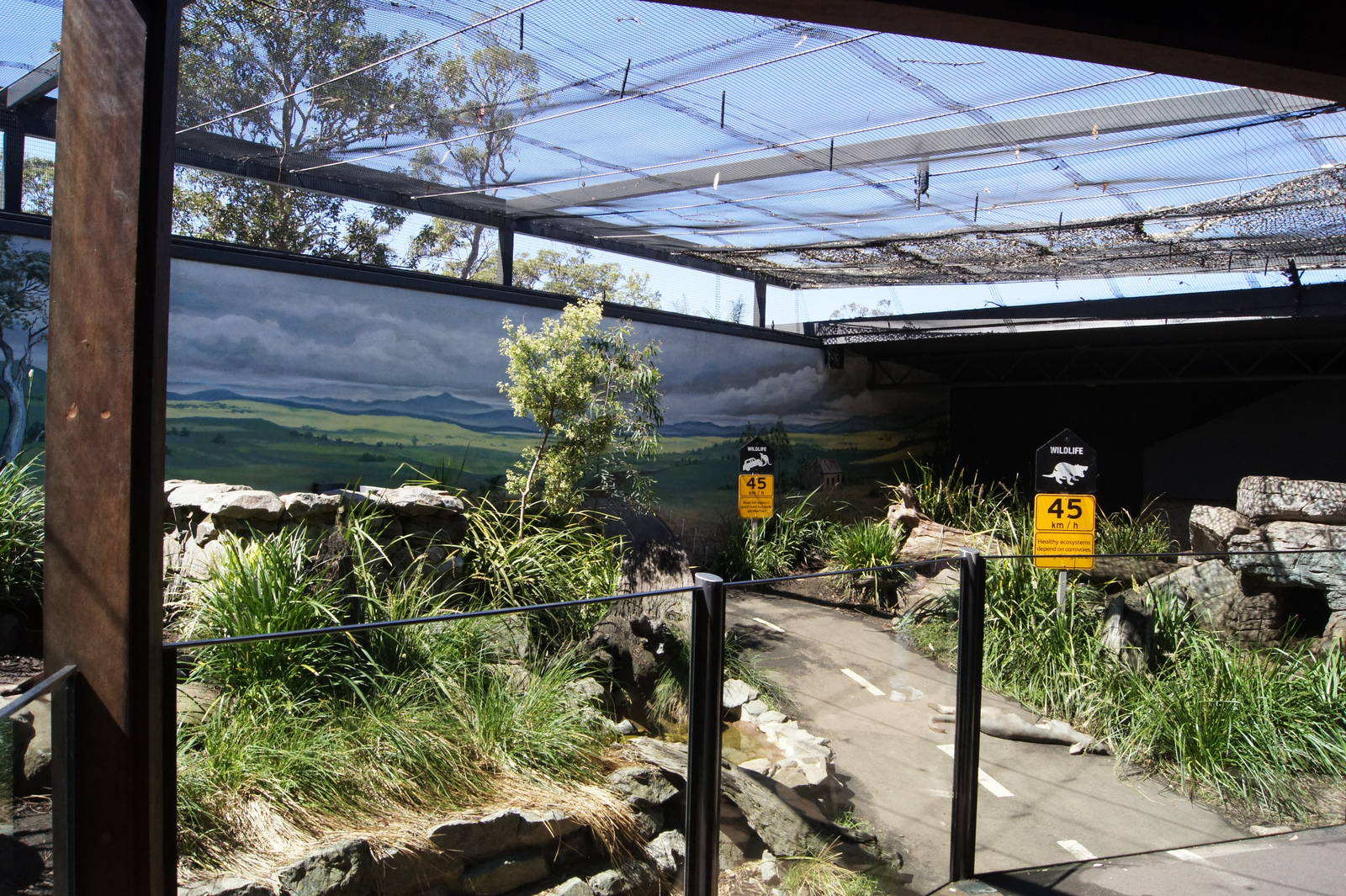 Tasmanian Devil Breeding Centre: Artificial Exhibit