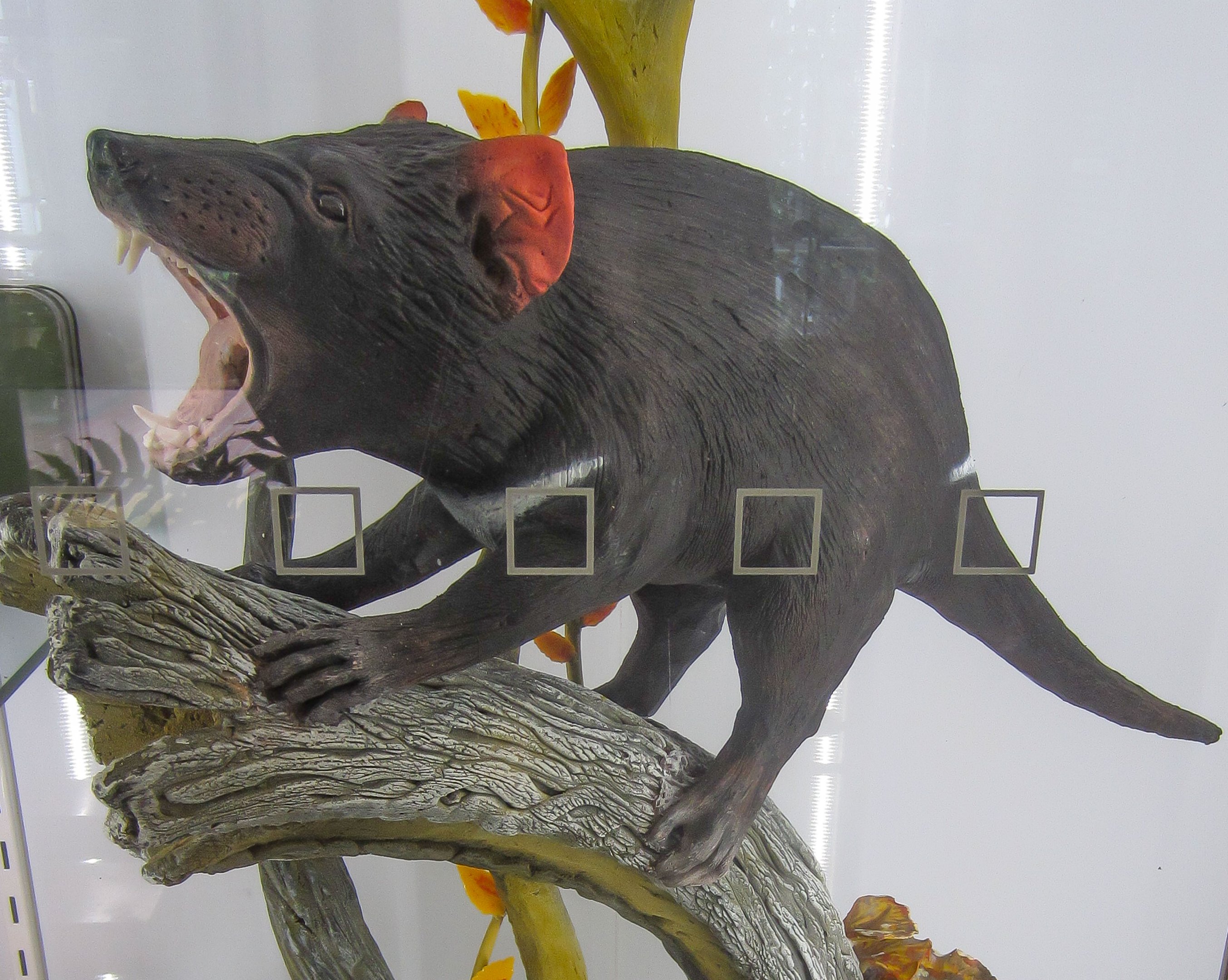 Tasmanian Devil chocolate sculpture