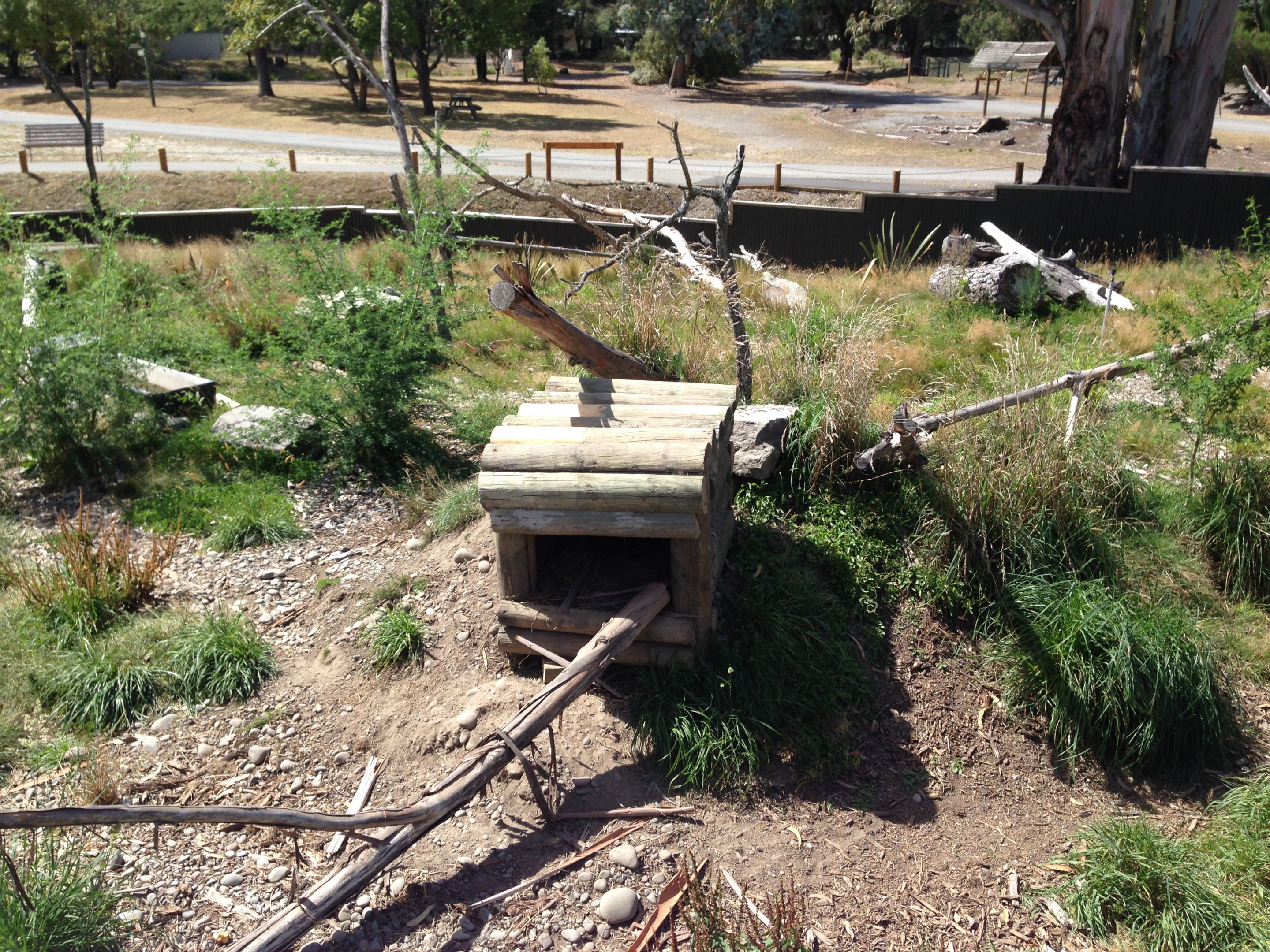 Tasmanian devil complex 2016