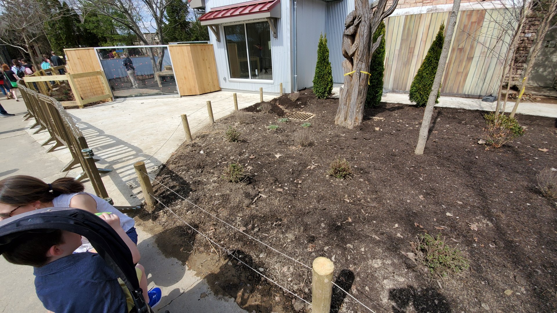 Tasmanian Devil construction front view