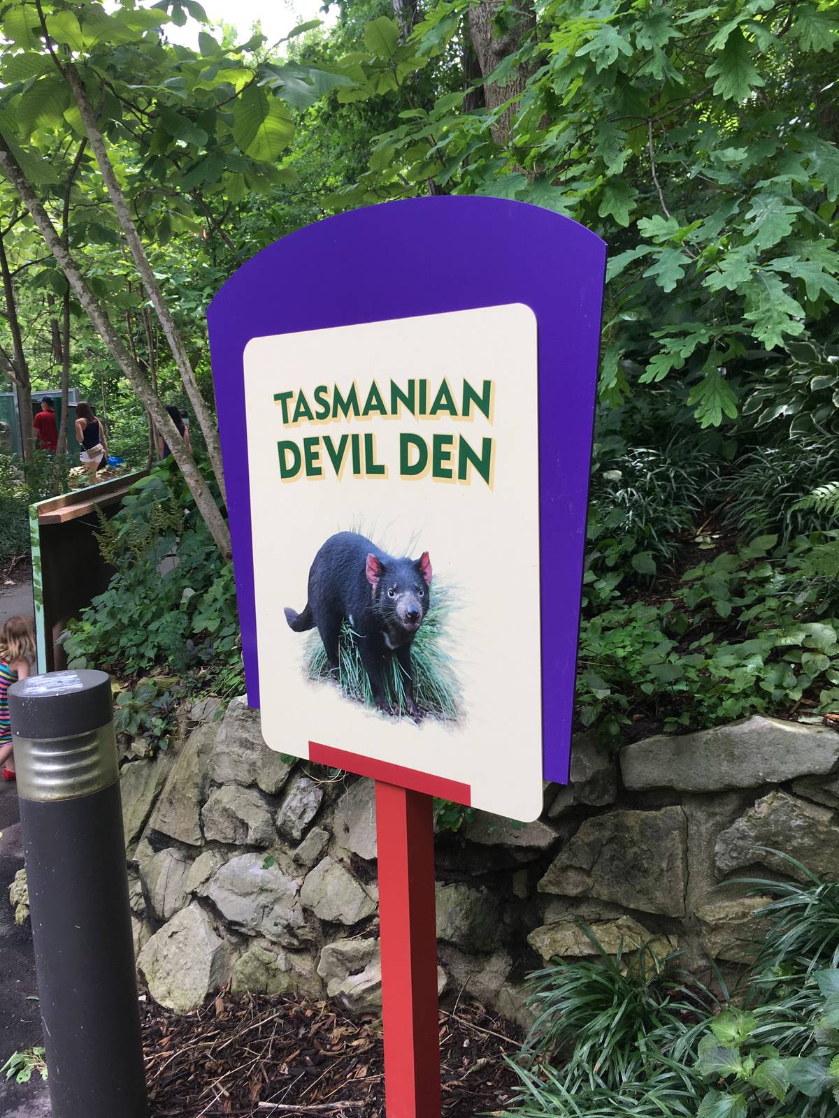 Tasmanian Devil Den