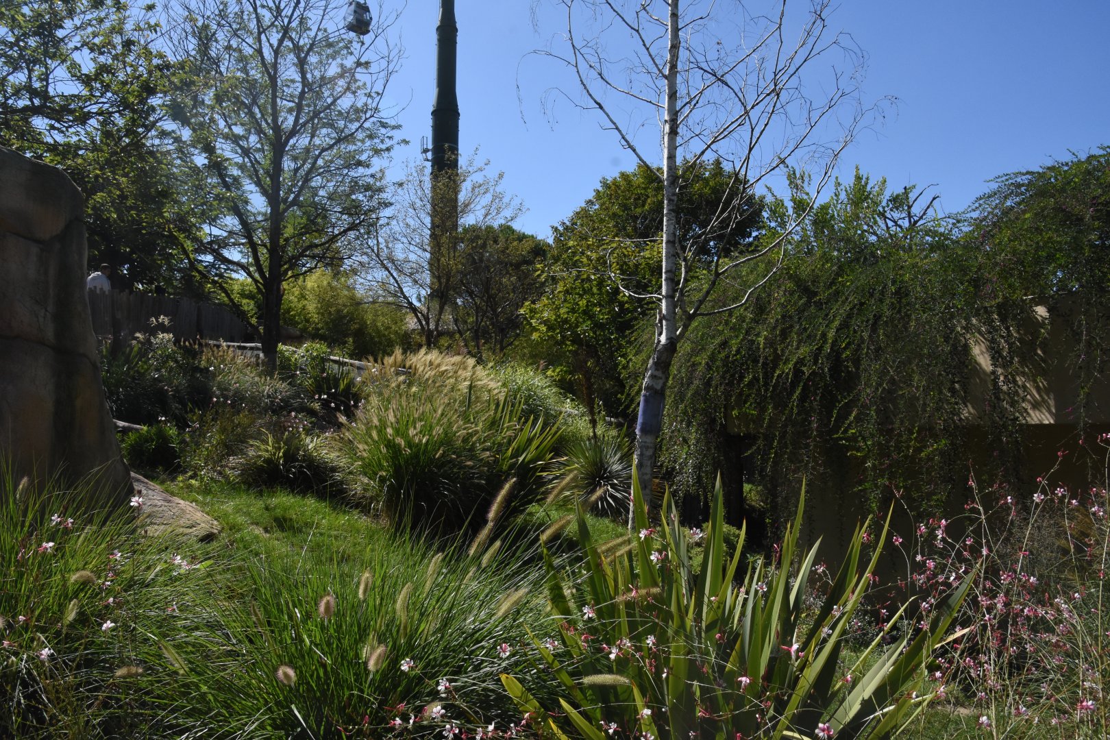 Tasmanian Devil enclosure (1/2)