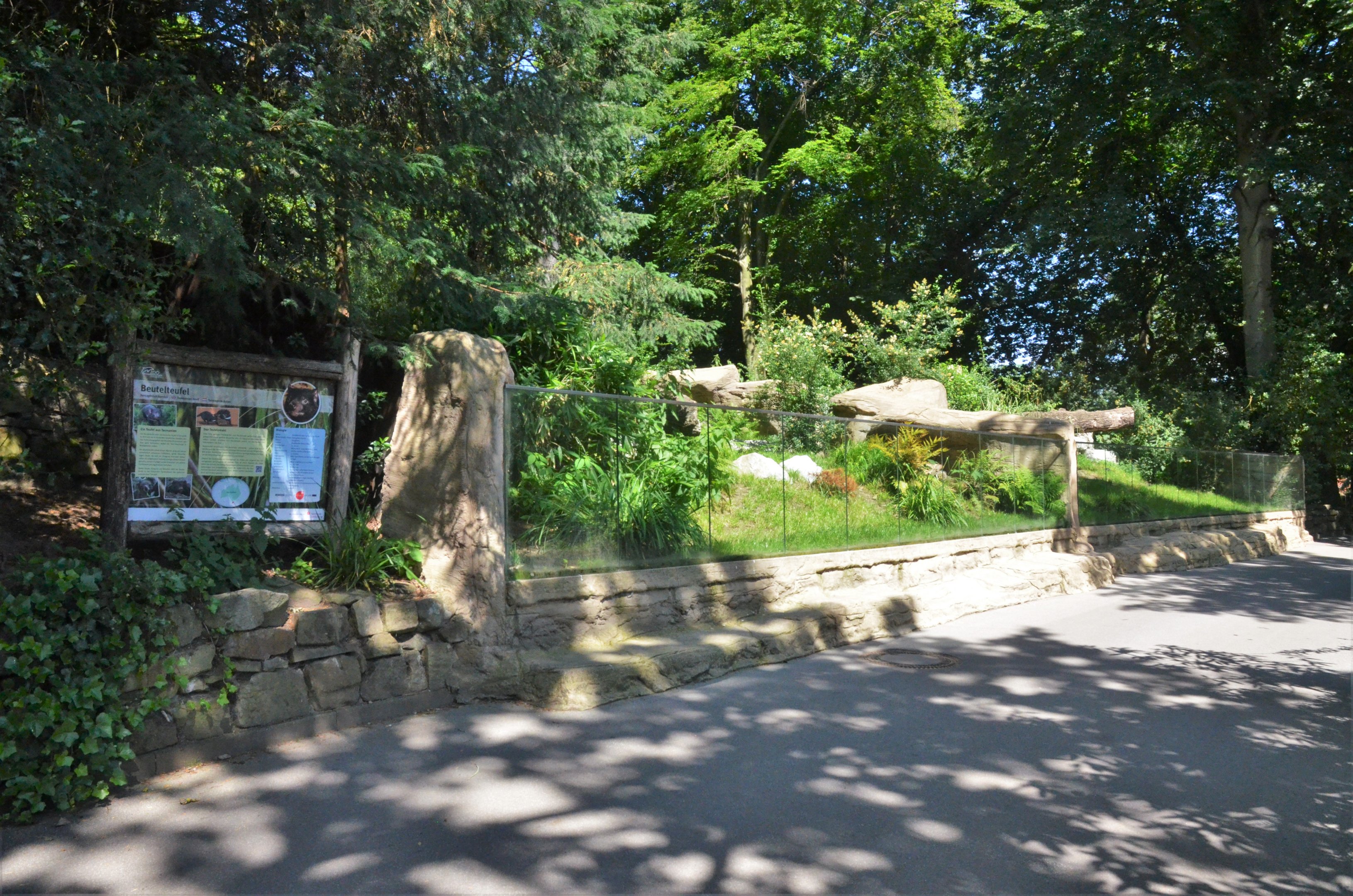 Tasmanian Devil Enclosure at Duisburg, 17/06/19