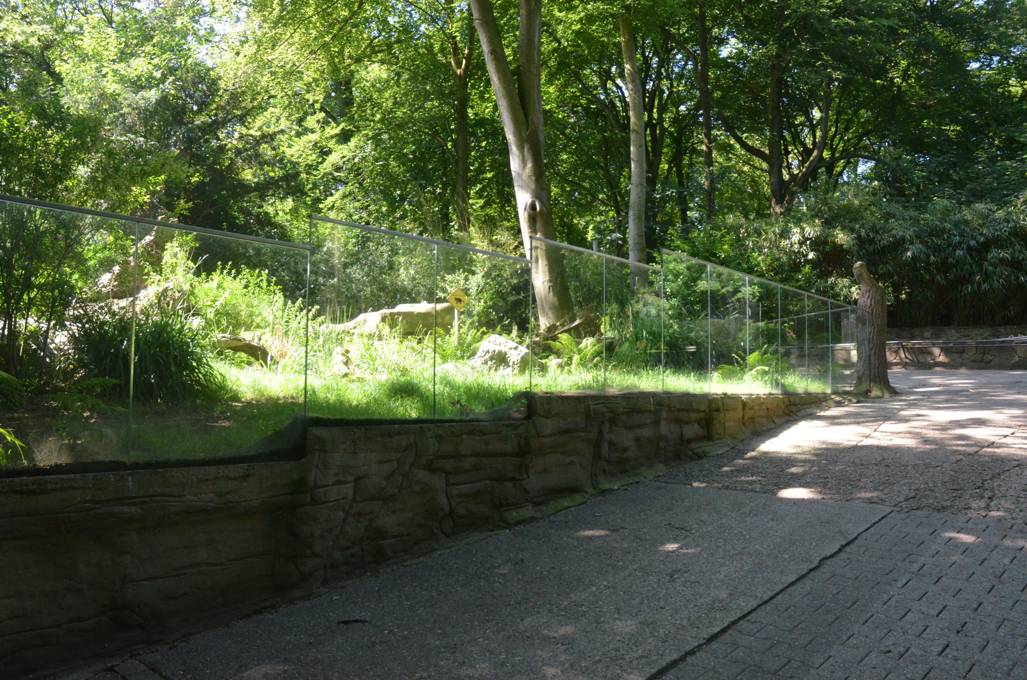 Tasmanian Devil Enclosure at Duisburg, 17/06/19