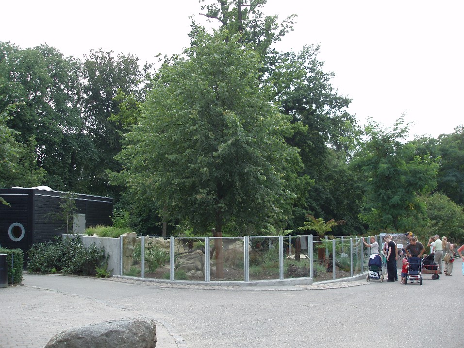 Tasmanian devil enclosure