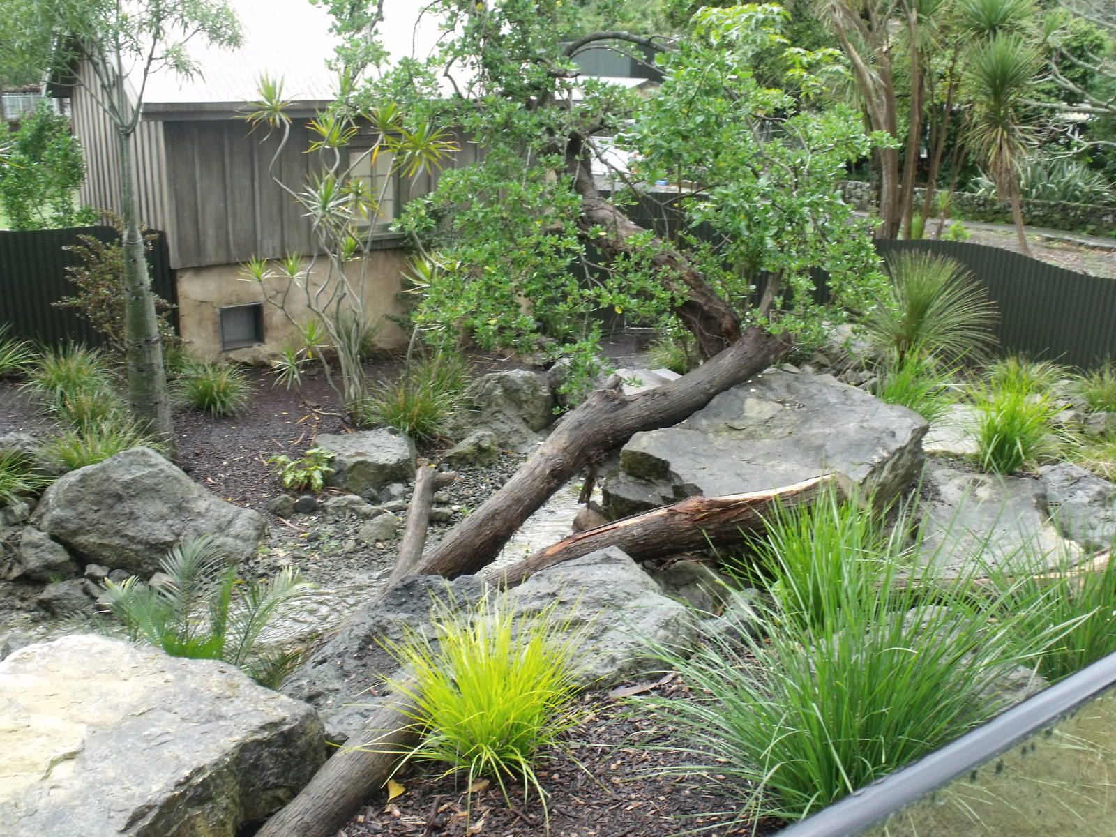Tasmanian Devil Enclosure