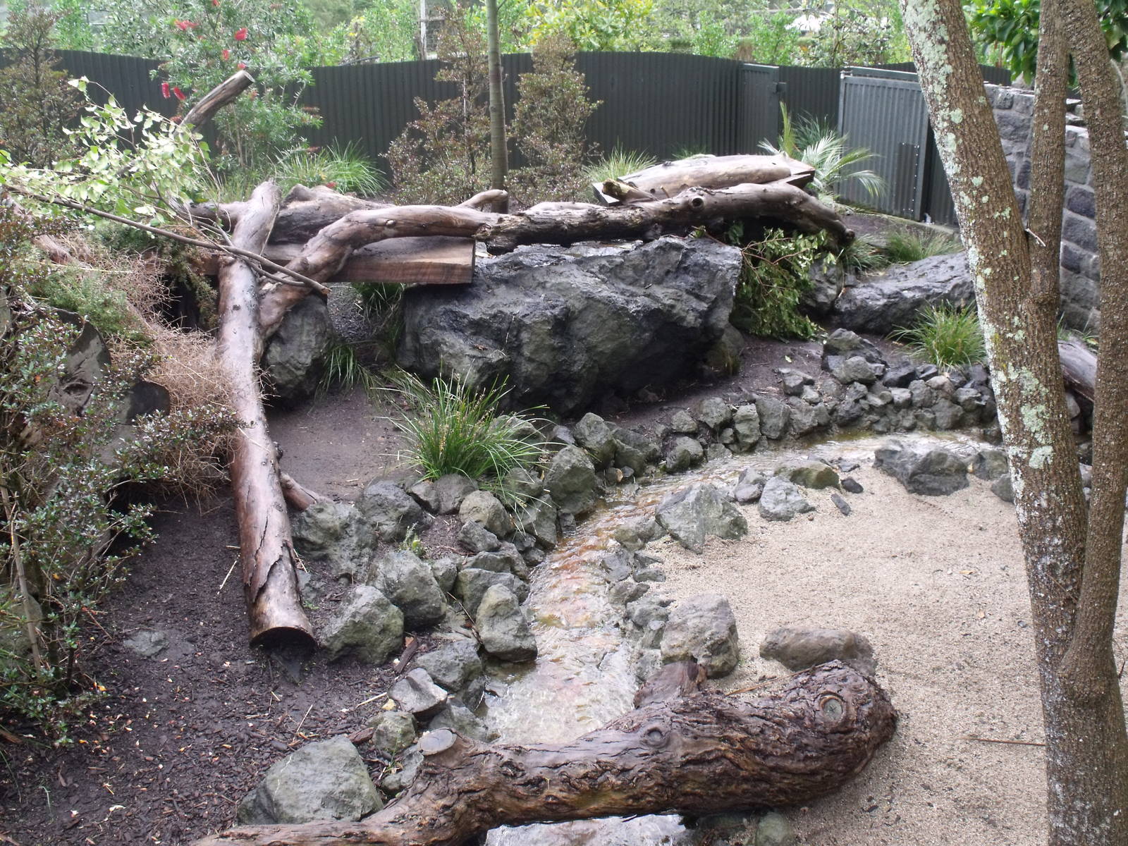 Tasmanian Devil Enclosure