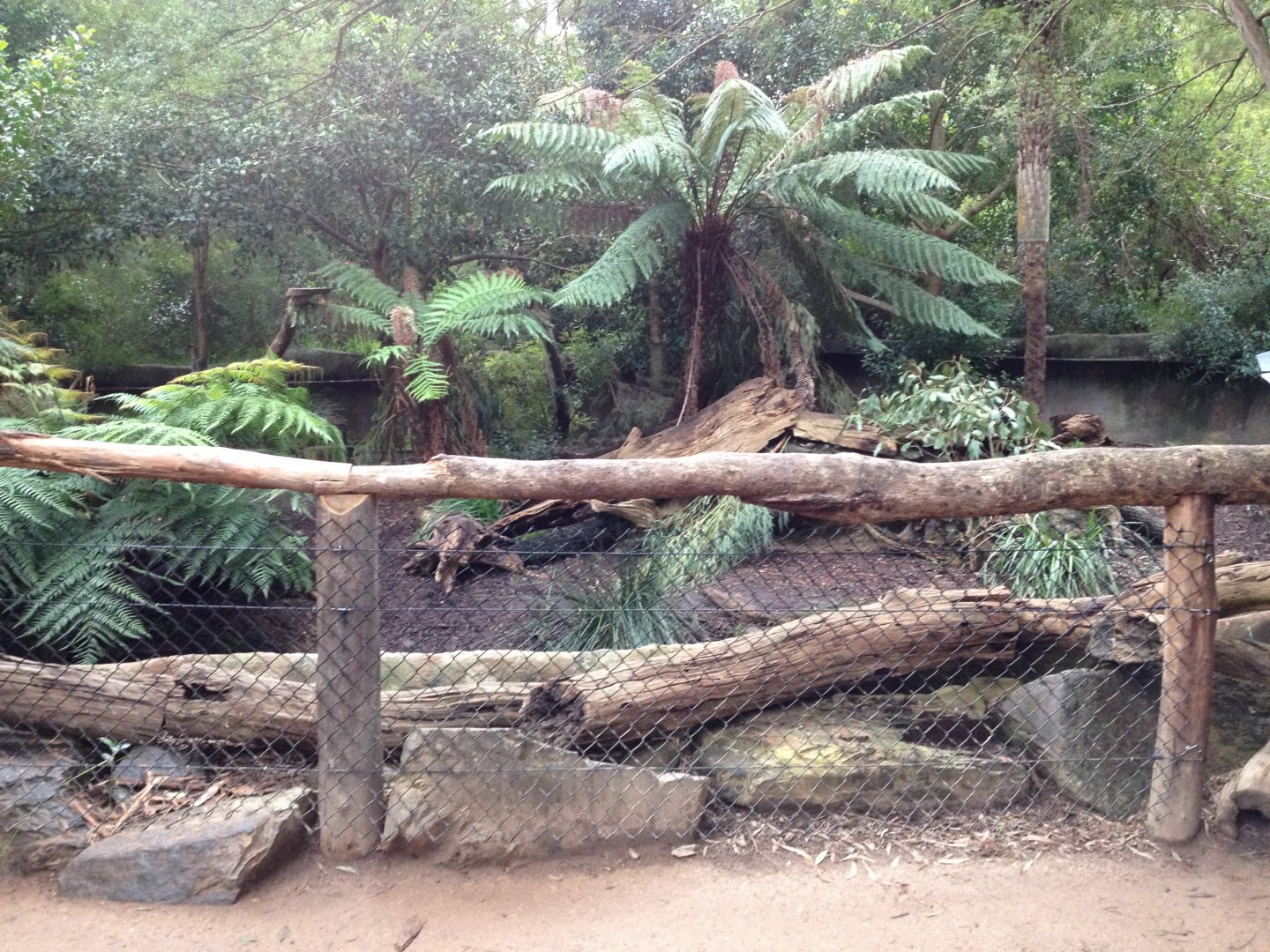 Tasmanian Devil Enclosure