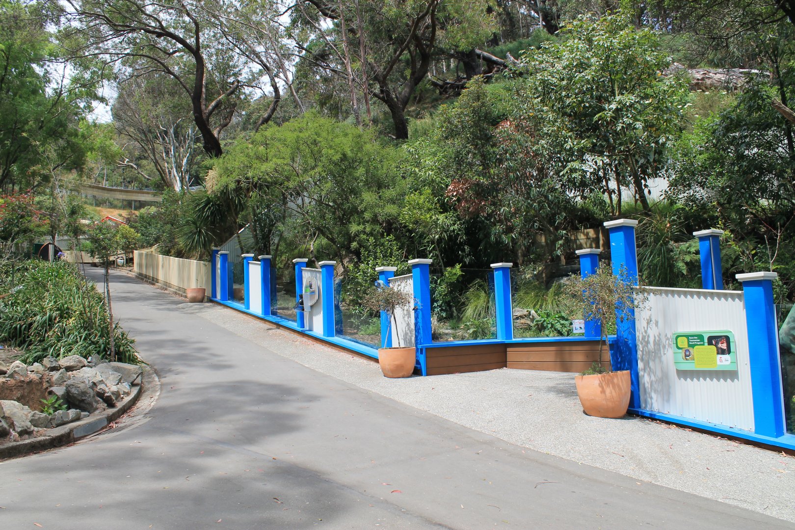 Tasmanian Devil enclosure