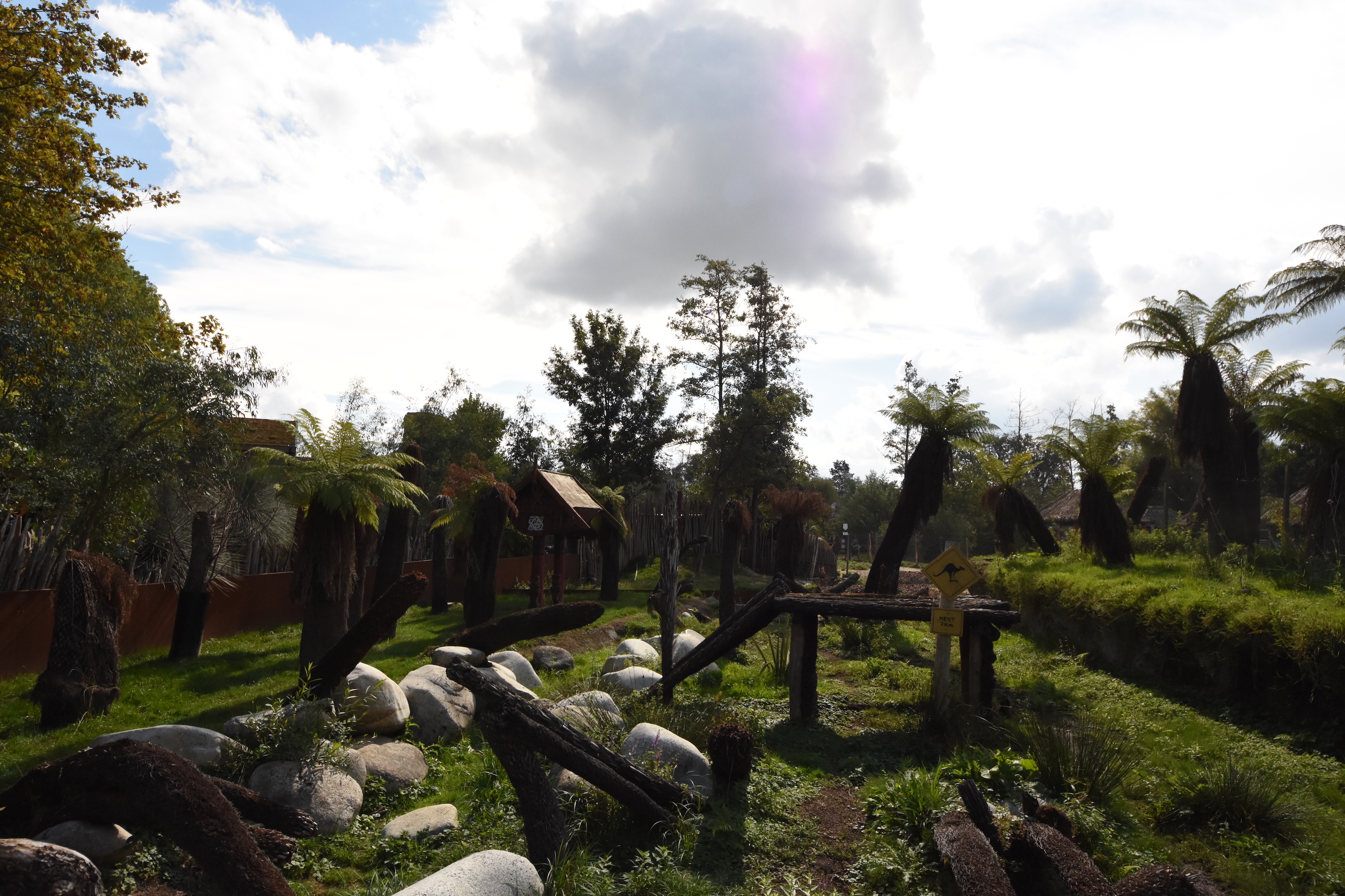 Tasmanian devil enclosure