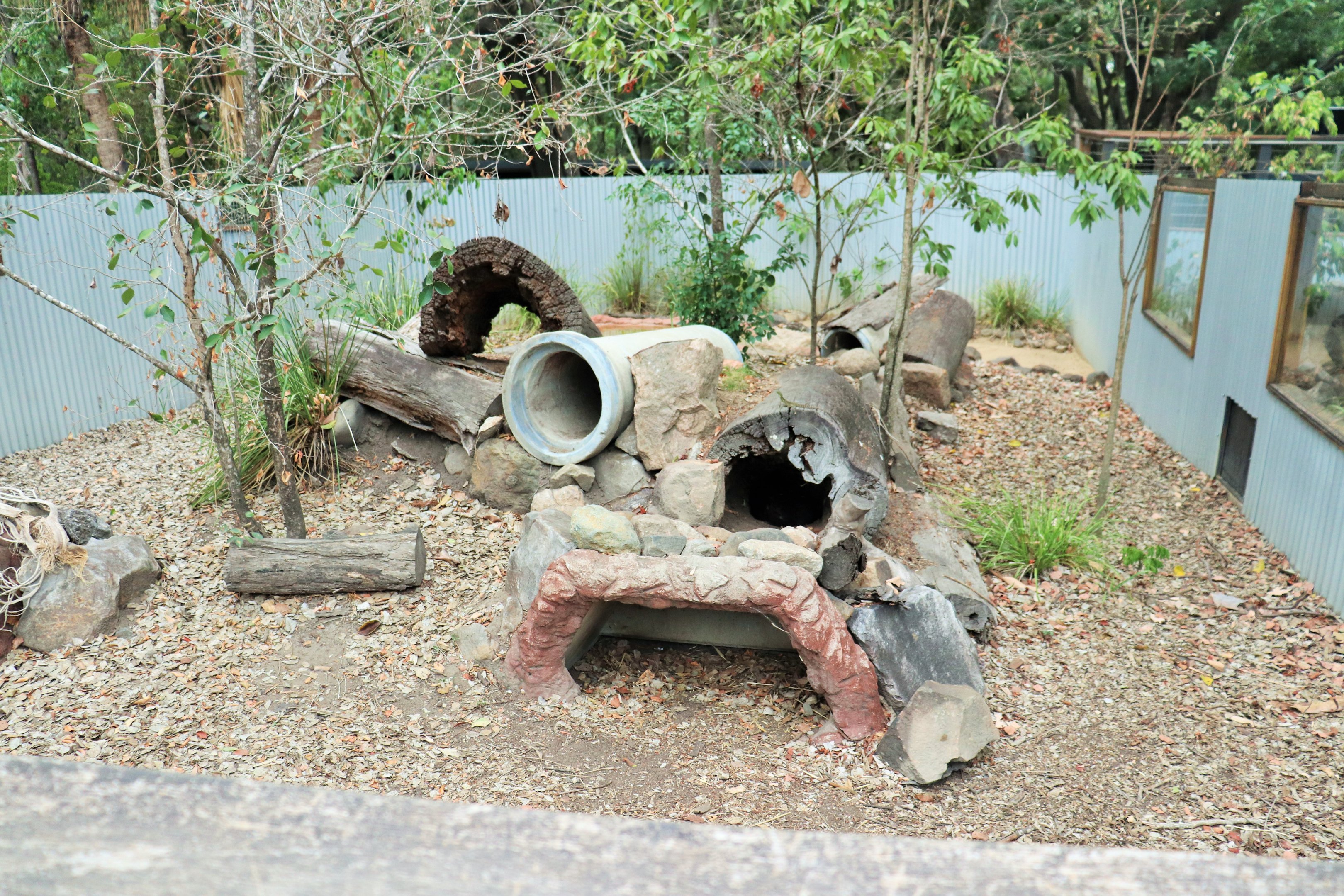 Tasmanian Devil Enclosure