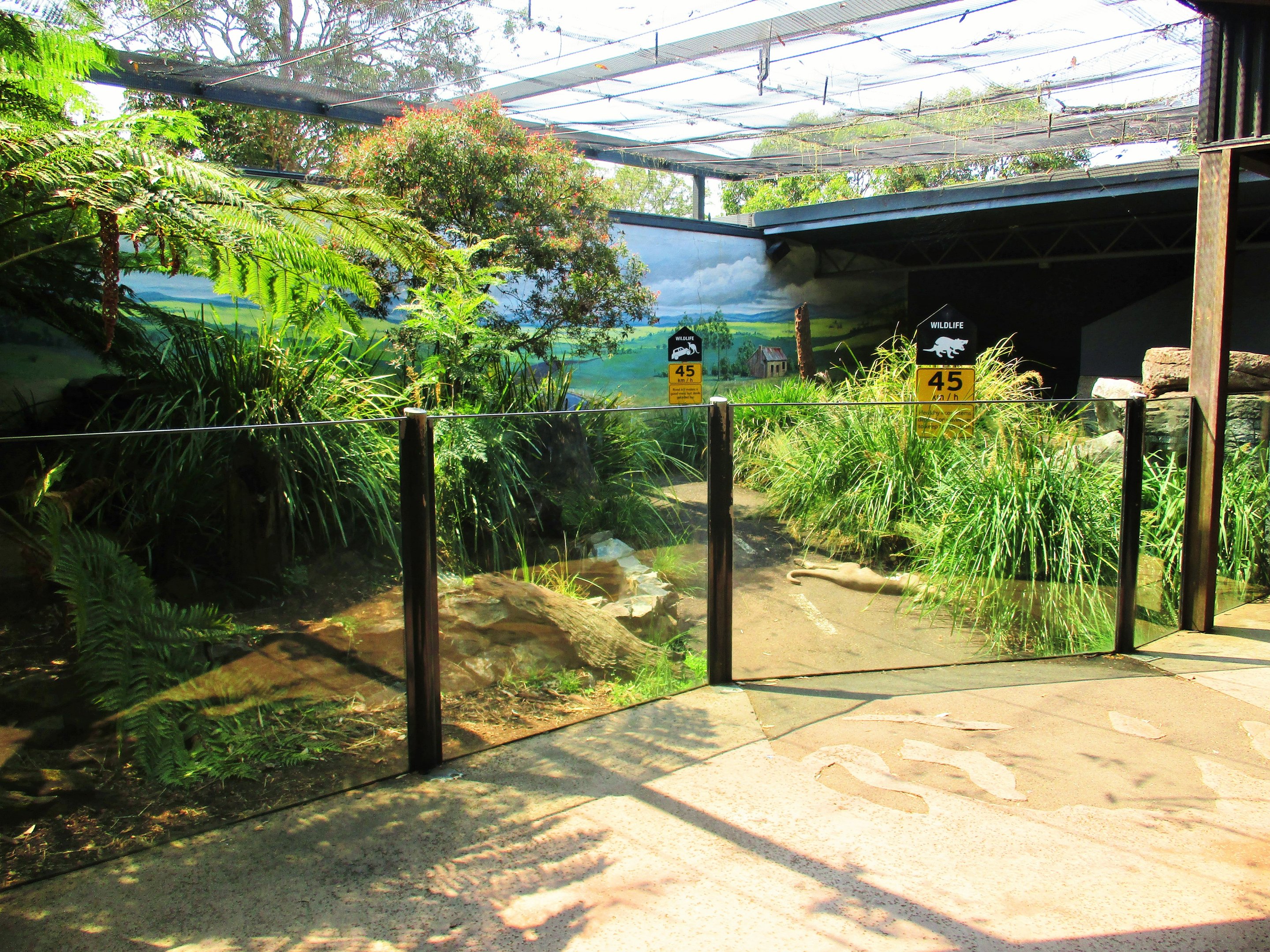 Tasmanian Devil Enclosure