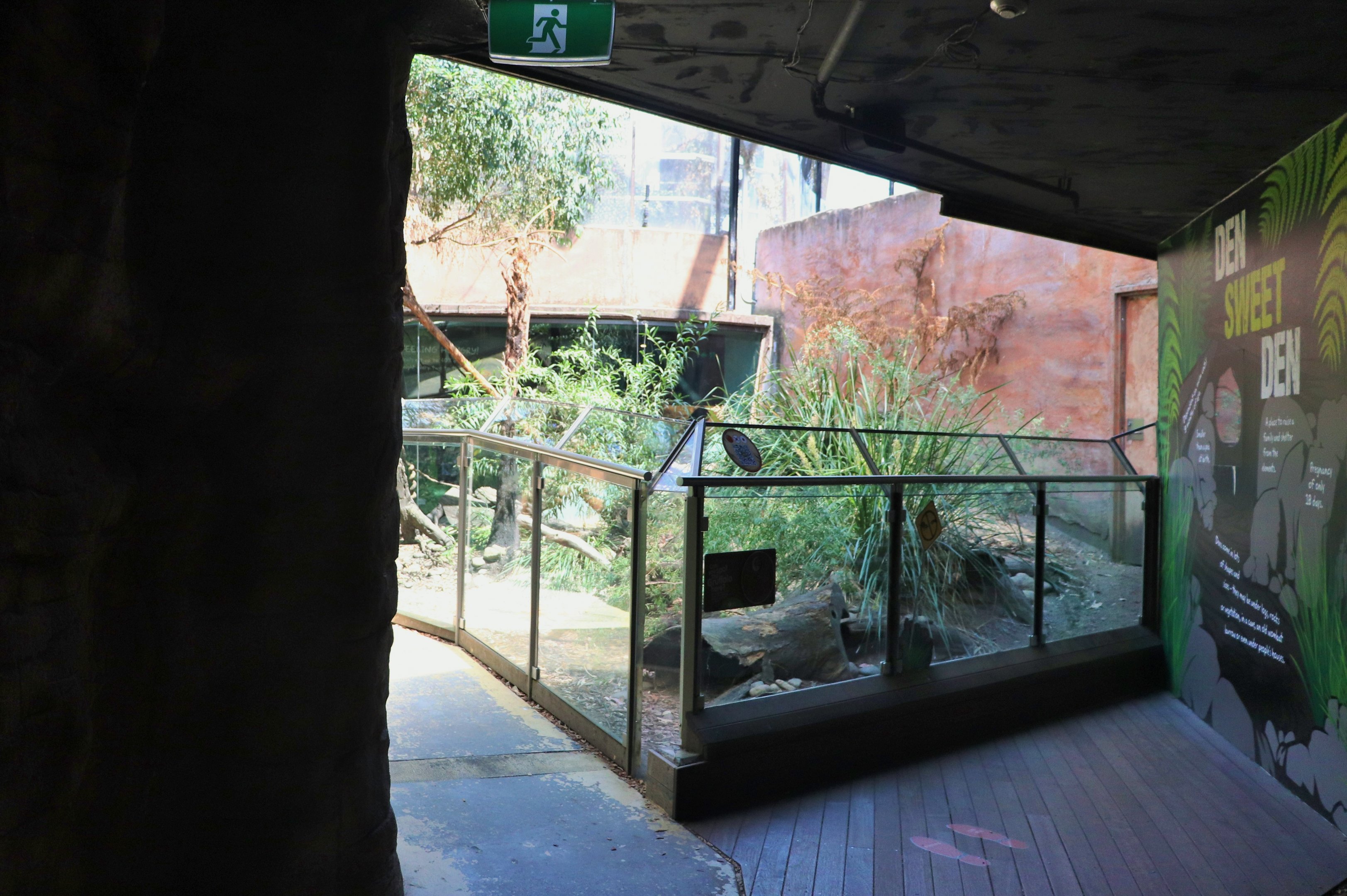 Tasmanian Devil Enclosure