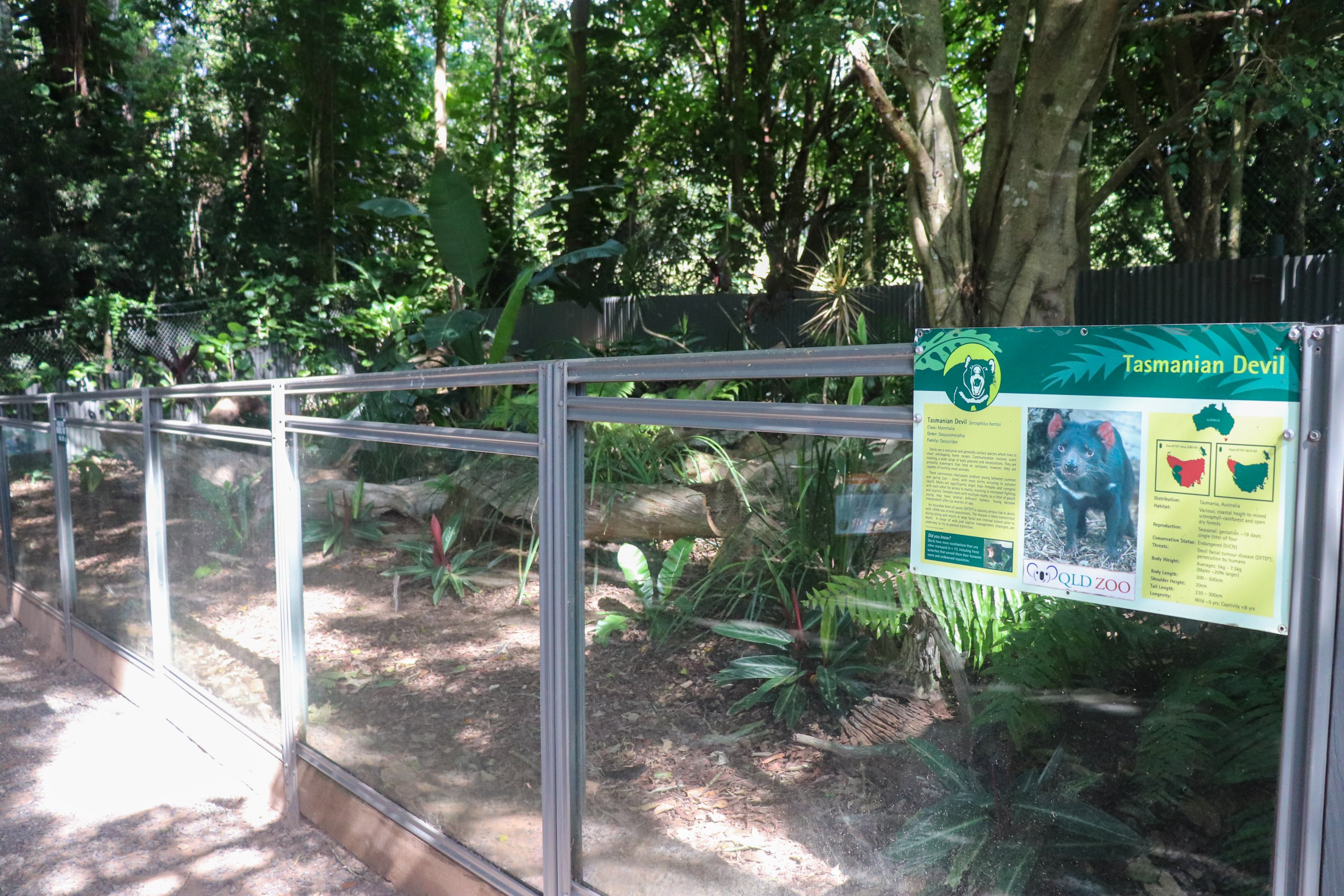 Tasmanian Devil Enclosure