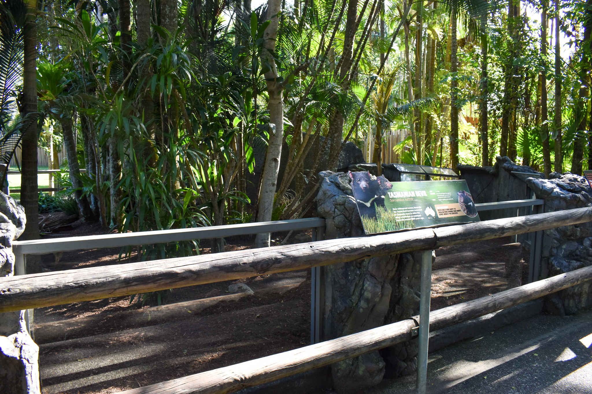 Tasmanian Devil Enclosure
