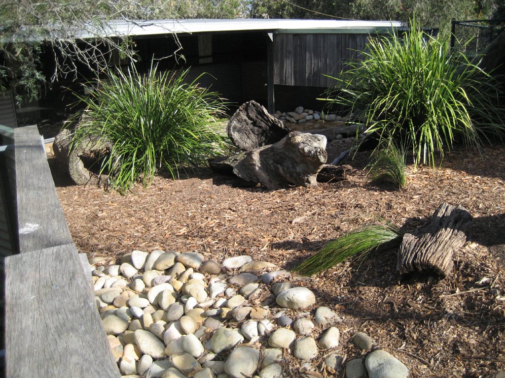 Tasmanian Devil enclosure