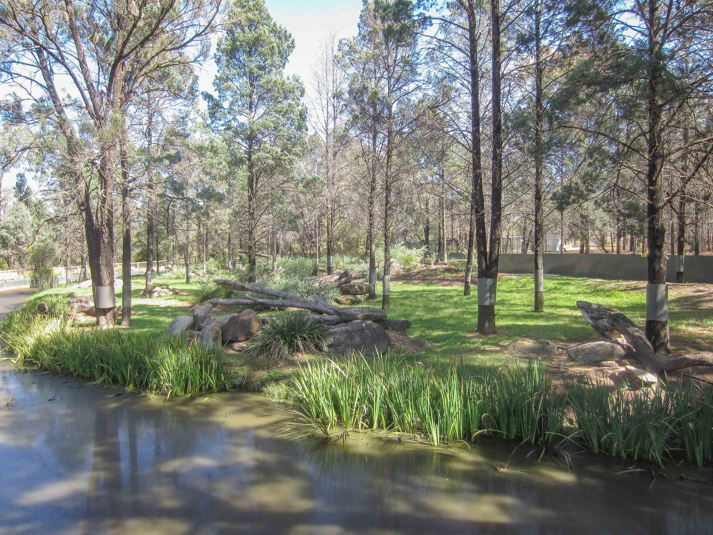 Tasmanian Devil enclosure
