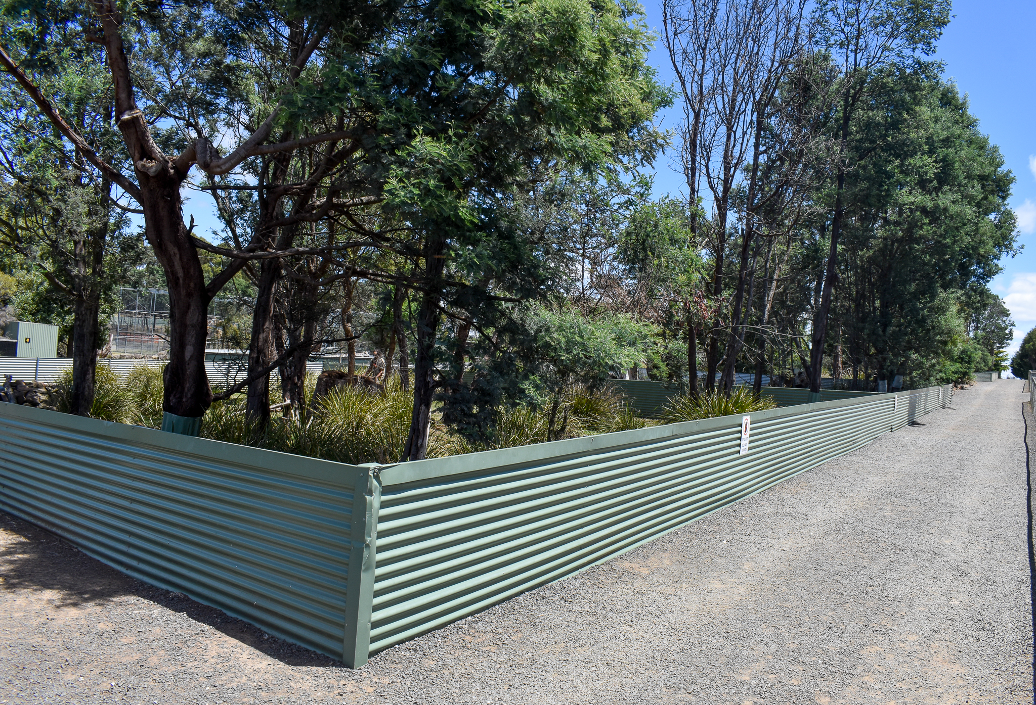 Tasmanian Devil enclosure