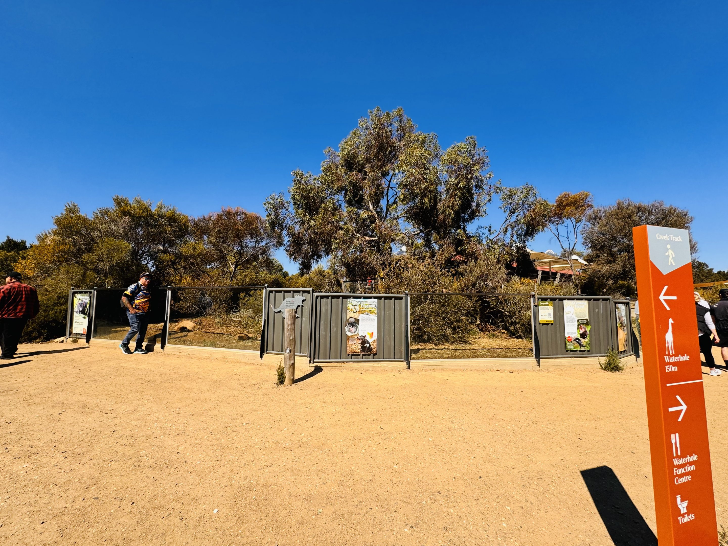 Tasmanian devil enclosure