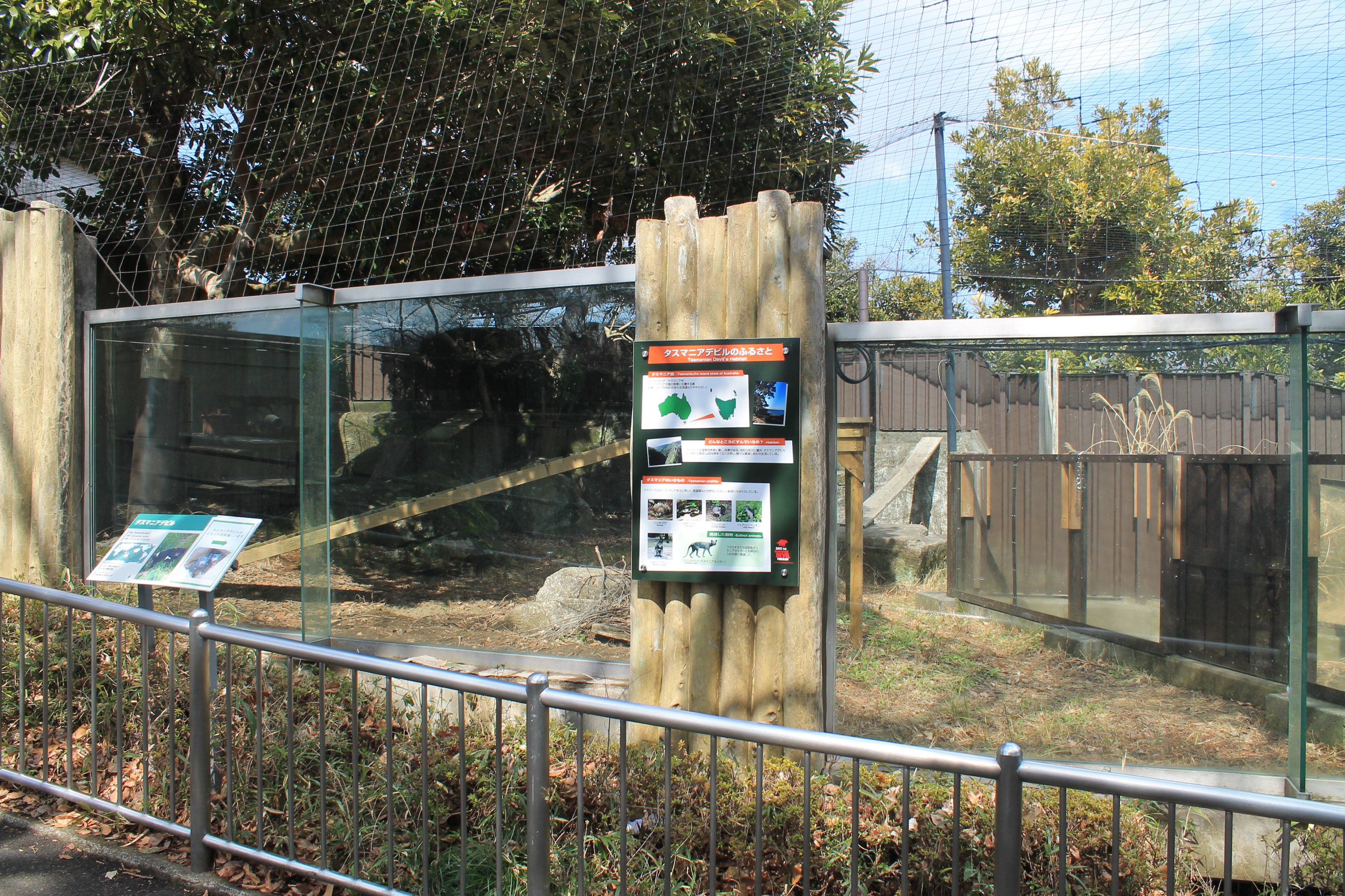 Tasmanian Devil enclosure