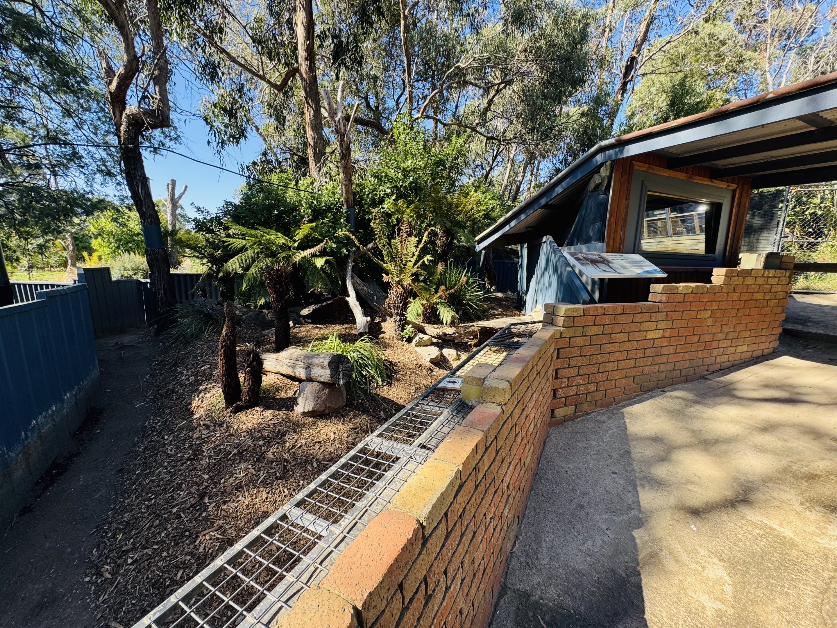 Tasmanian devil enclosure