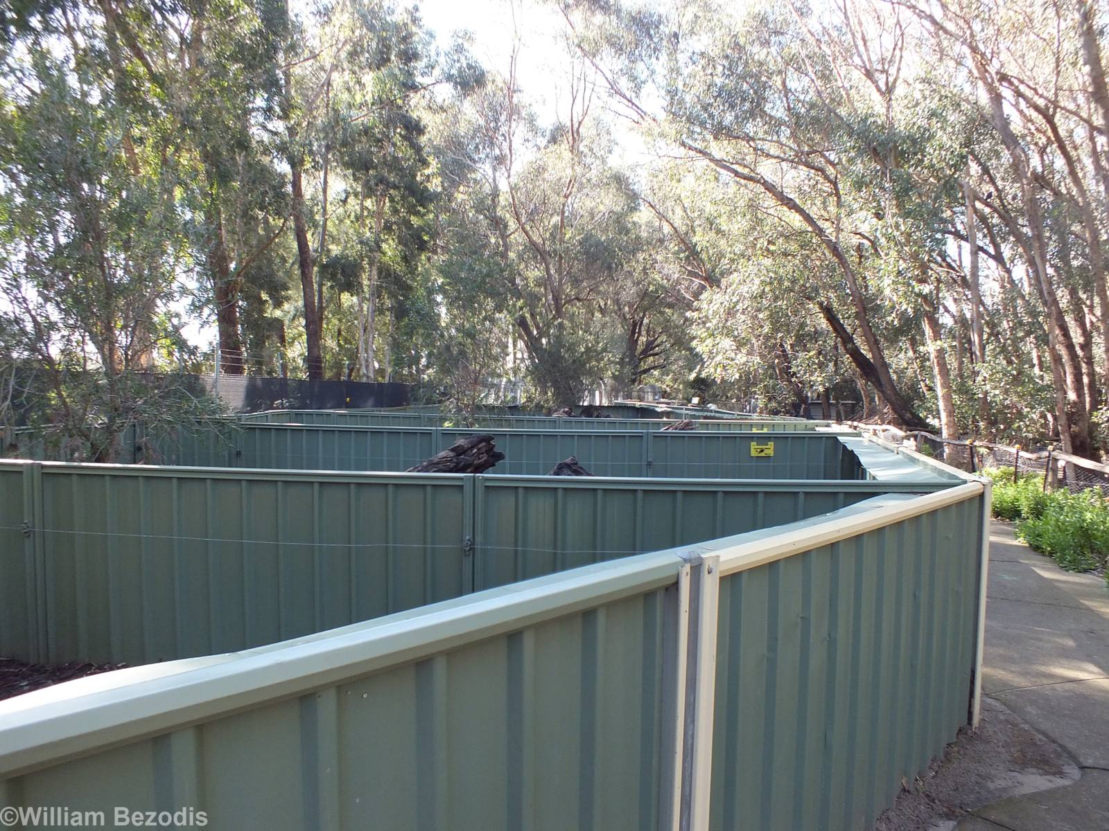 Tasmanian Devil Enclosures