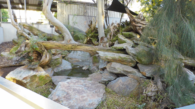 Tasmanian Devil Enlcosure