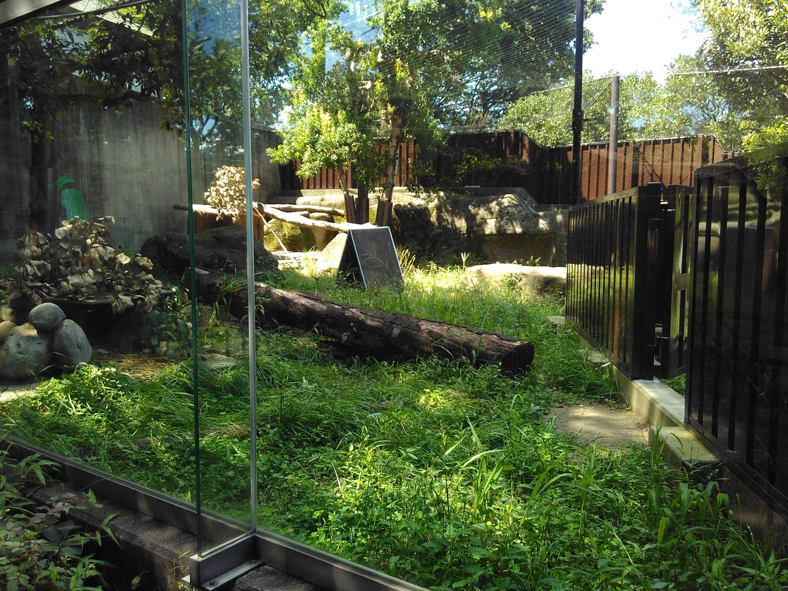 tasmanian devil exhibit 1