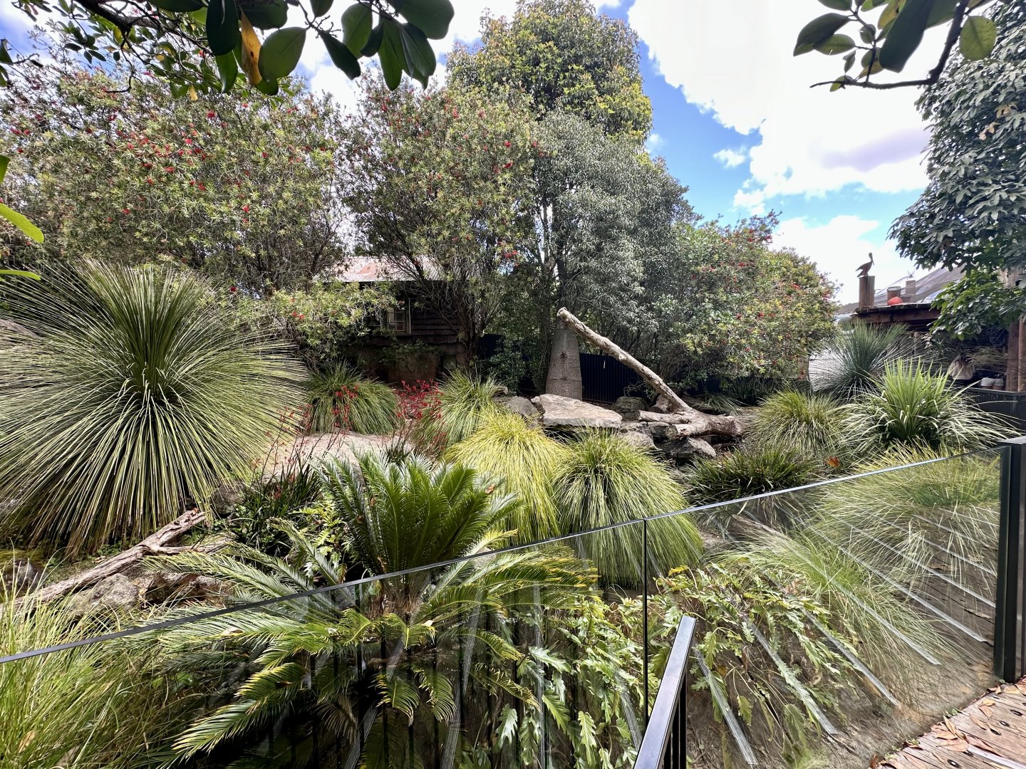 Tasmanian Devil Exhibit 1