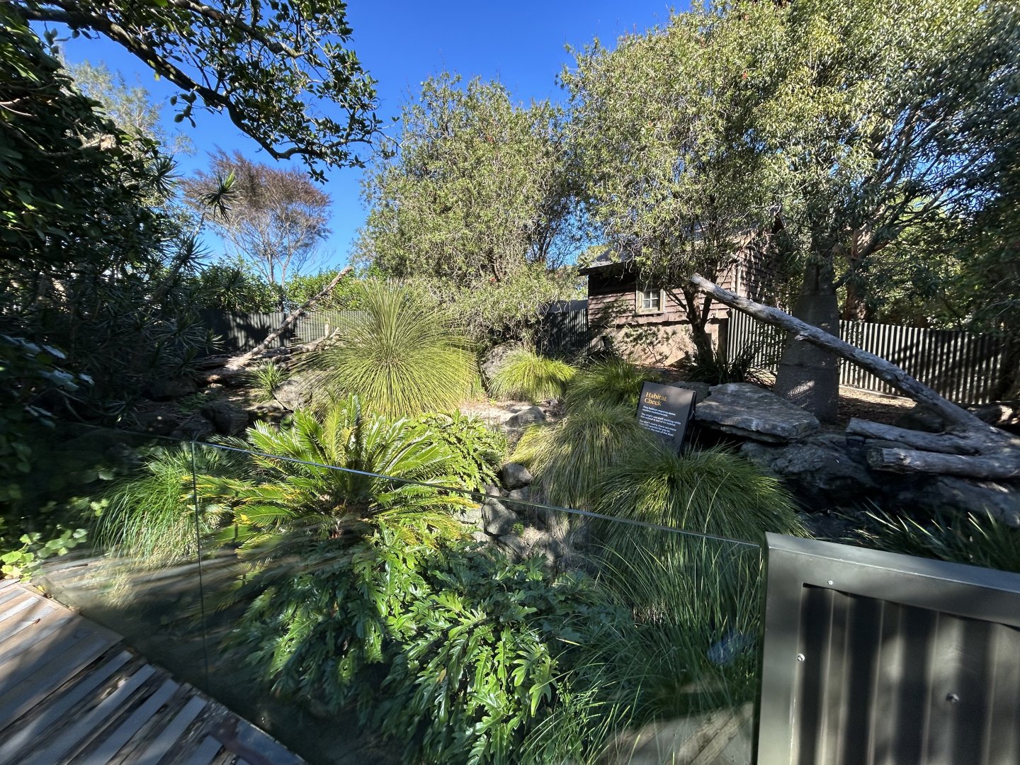 Tasmanian Devil Exhibit #2 - Australian Bush Track