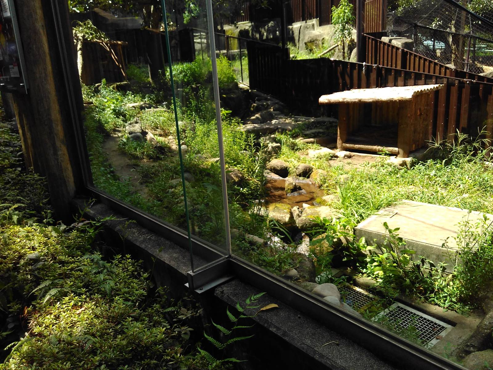 Tasmanian devil exhibit 2