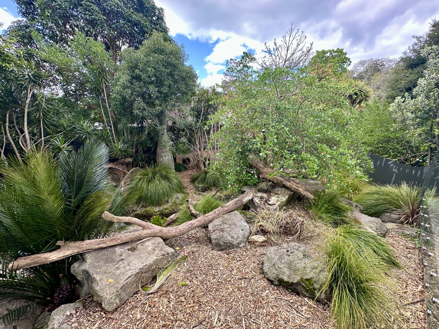 Tasmanian Devil Exhibit 2