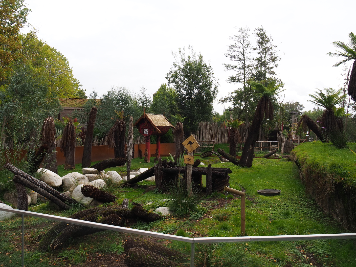 Tasmanian devil exhibit, 2019-10-04