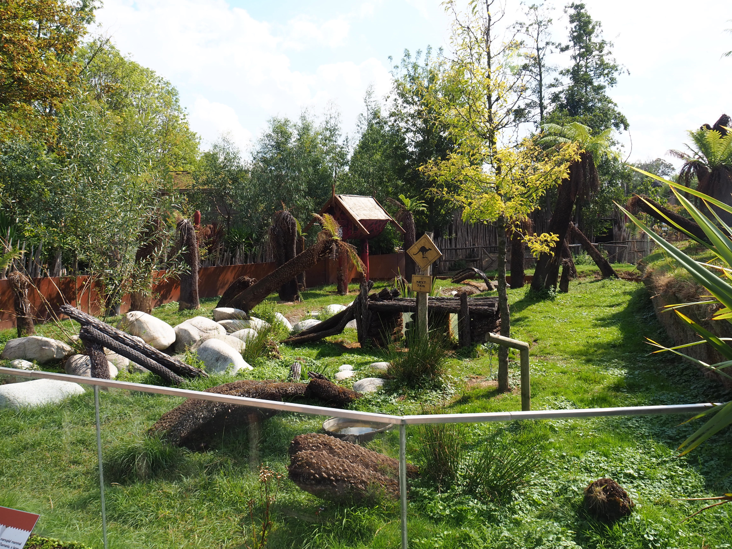 Tasmanian devil exhibit, 2020-09-02