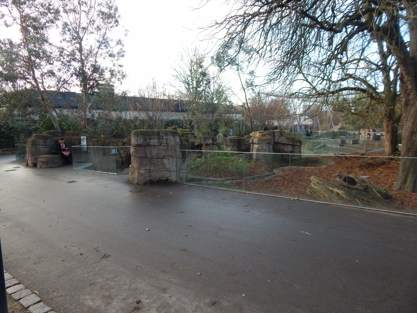 Tasmanian devil exhibit 261124