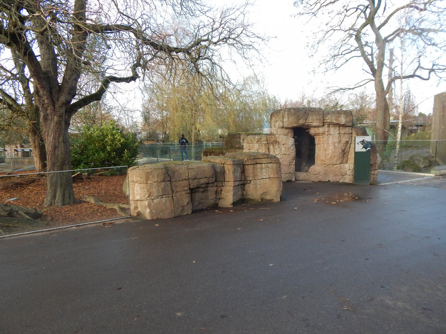 Tasmanian devil exhibit 261124