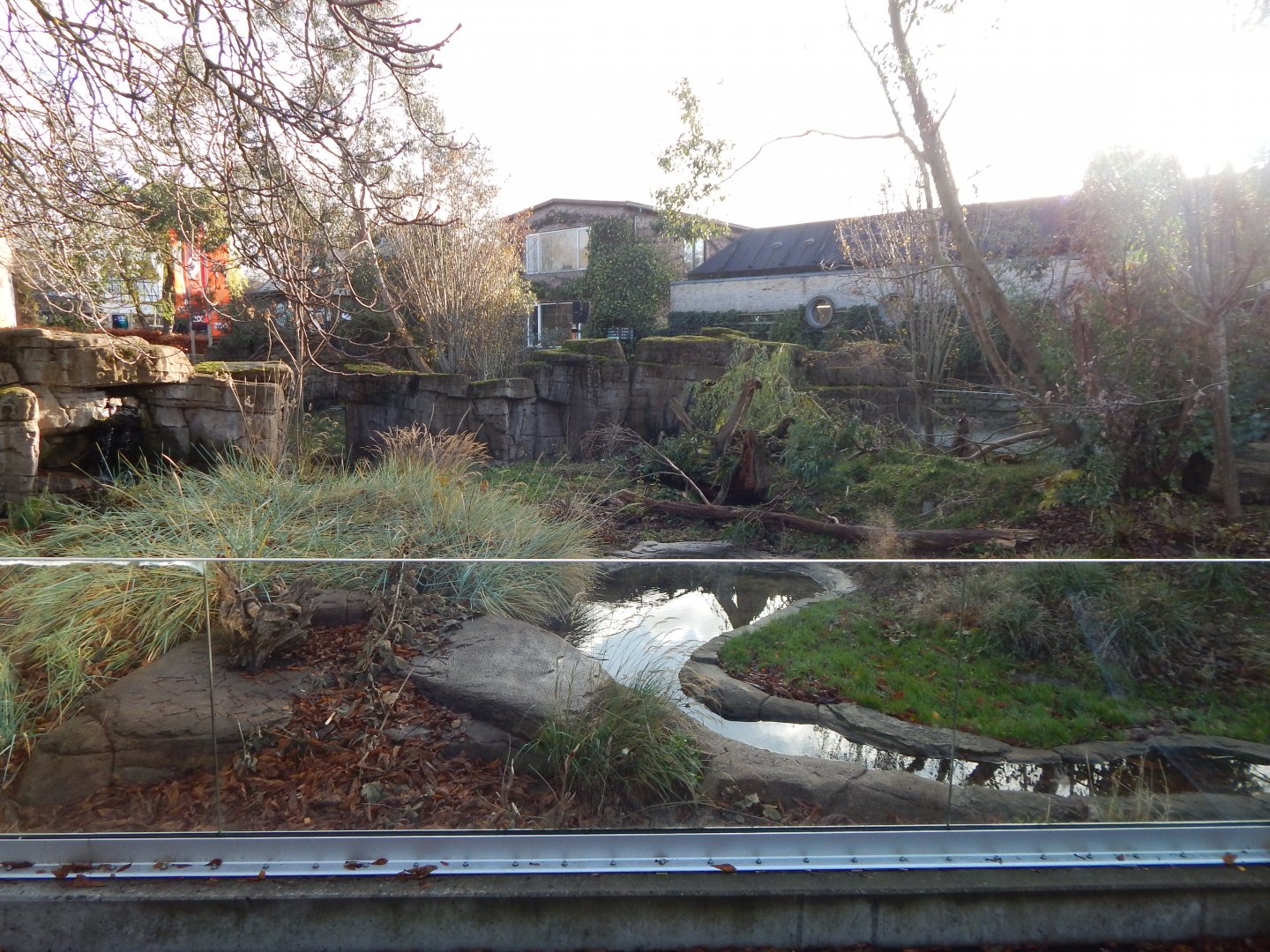 Tasmanian devil exhibit 261124