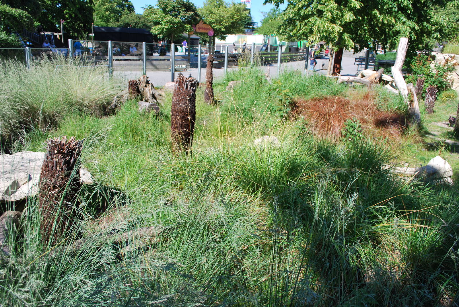 Tasmanian devil exhibit, Copenhagen Zoo June 2009, pic 2 of 7