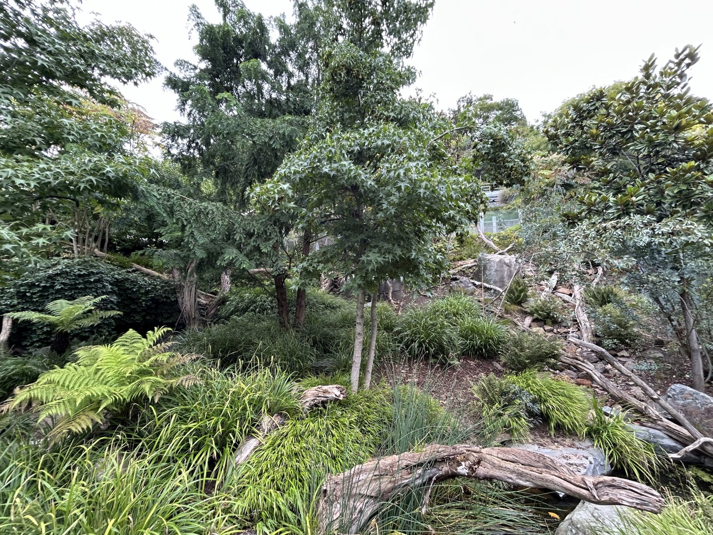 Tasmanian Devil Exhibit - Darwin Crater